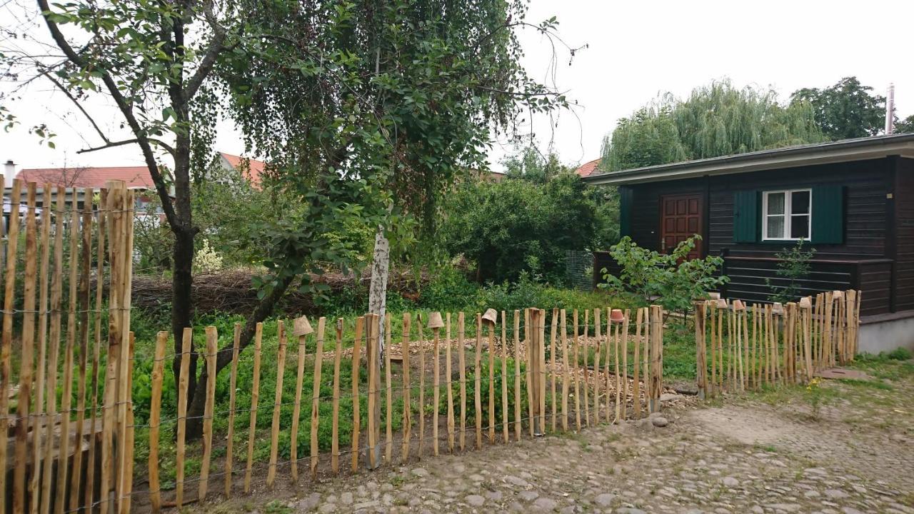 Huette Mit Herz Im Harz Apartment Meisdorf Exterior photo