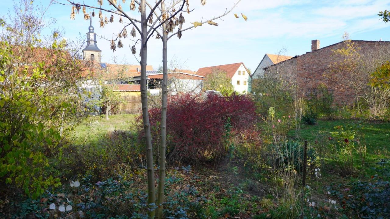 Huette Mit Herz Im Harz Apartment Meisdorf Exterior photo